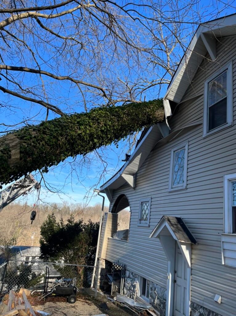 Storm Damage